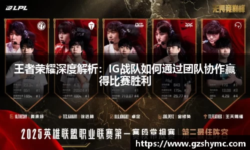 王者荣耀深度解析：IG战队如何通过团队协作赢得比赛胜利